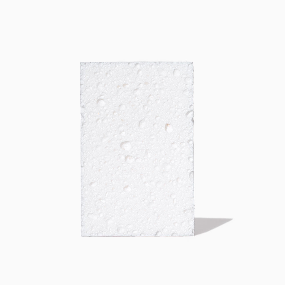 Scrubber Sponges