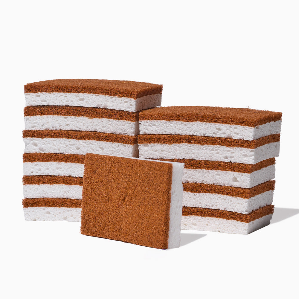 Scrubber Sponges