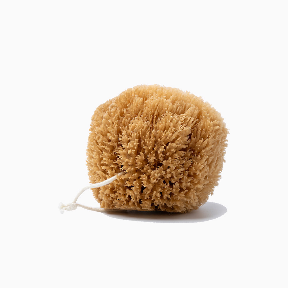 Natural Grass Sea Sponge