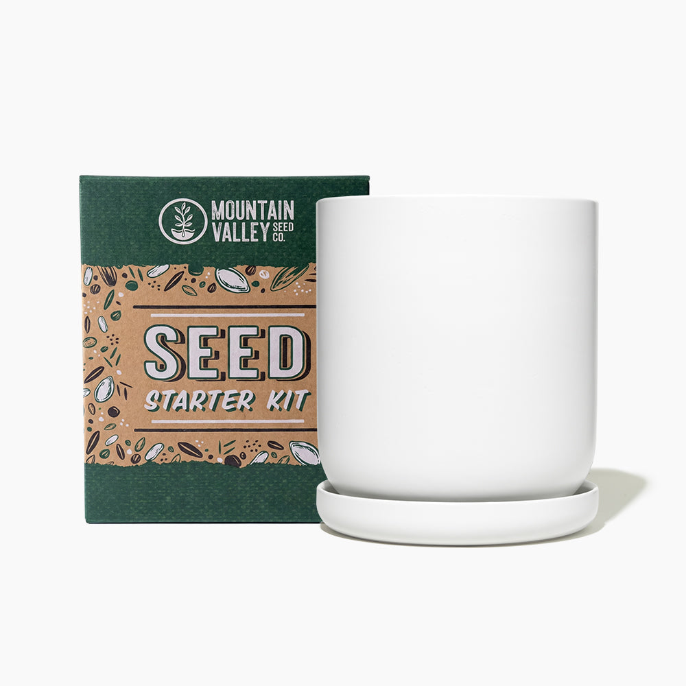 Stoneware Planter & Seed Kit