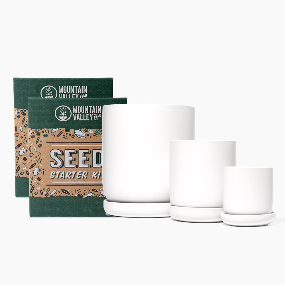 Stoneware Planter & Seed Kit