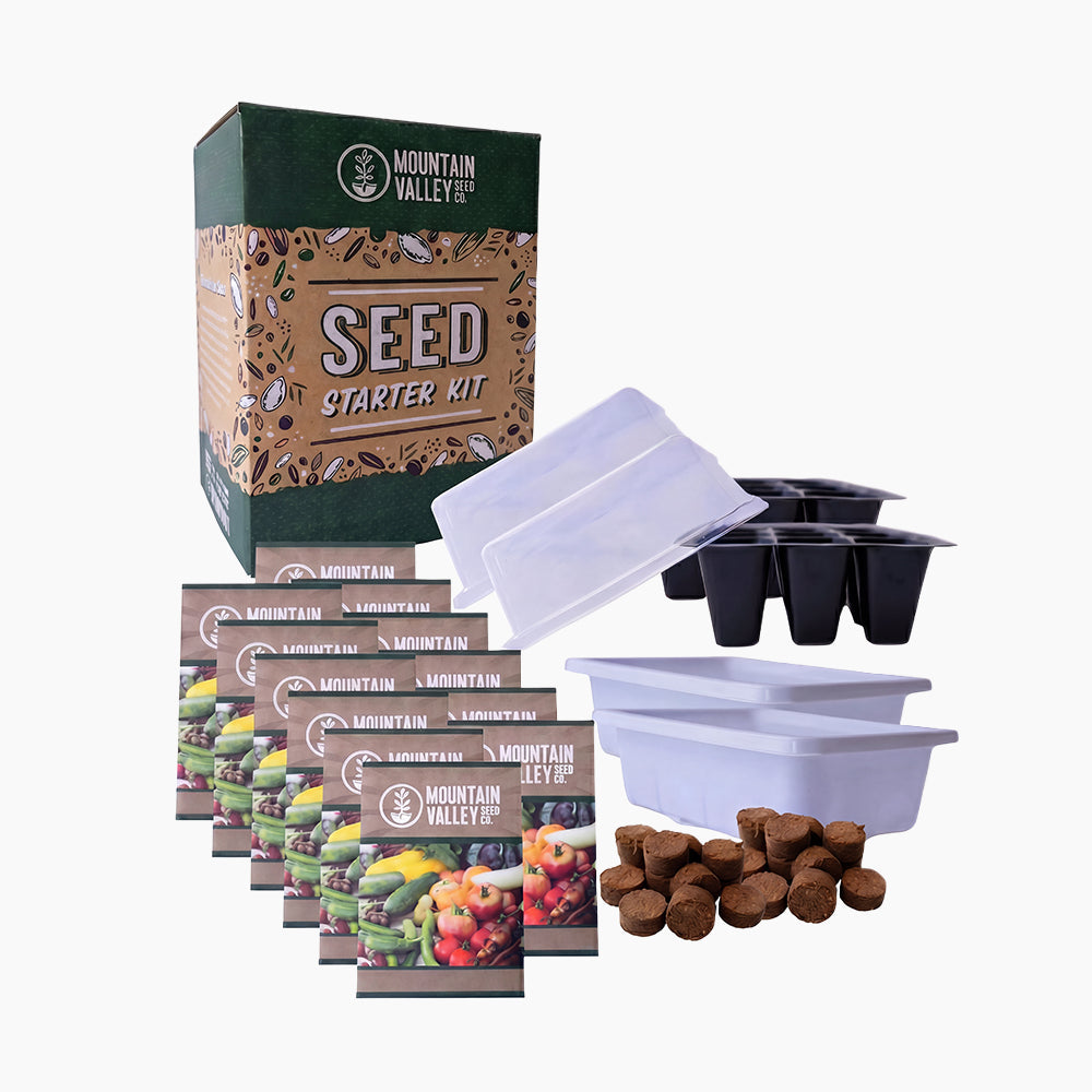 Stoneware Planter & Seed Kit