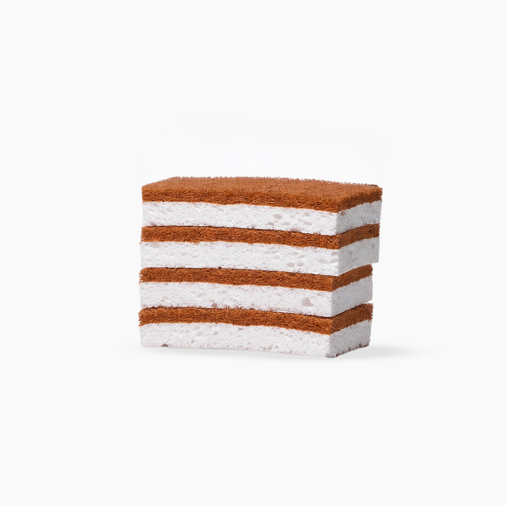 Scrubber Sponges