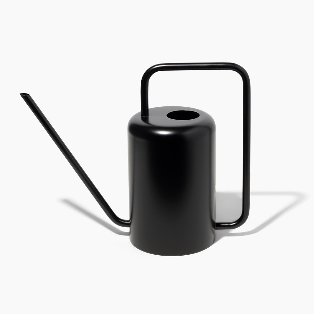 Stainless Steel Watering Can