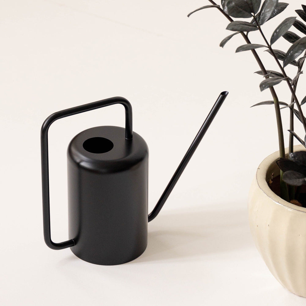 Stainless Steel Watering Can