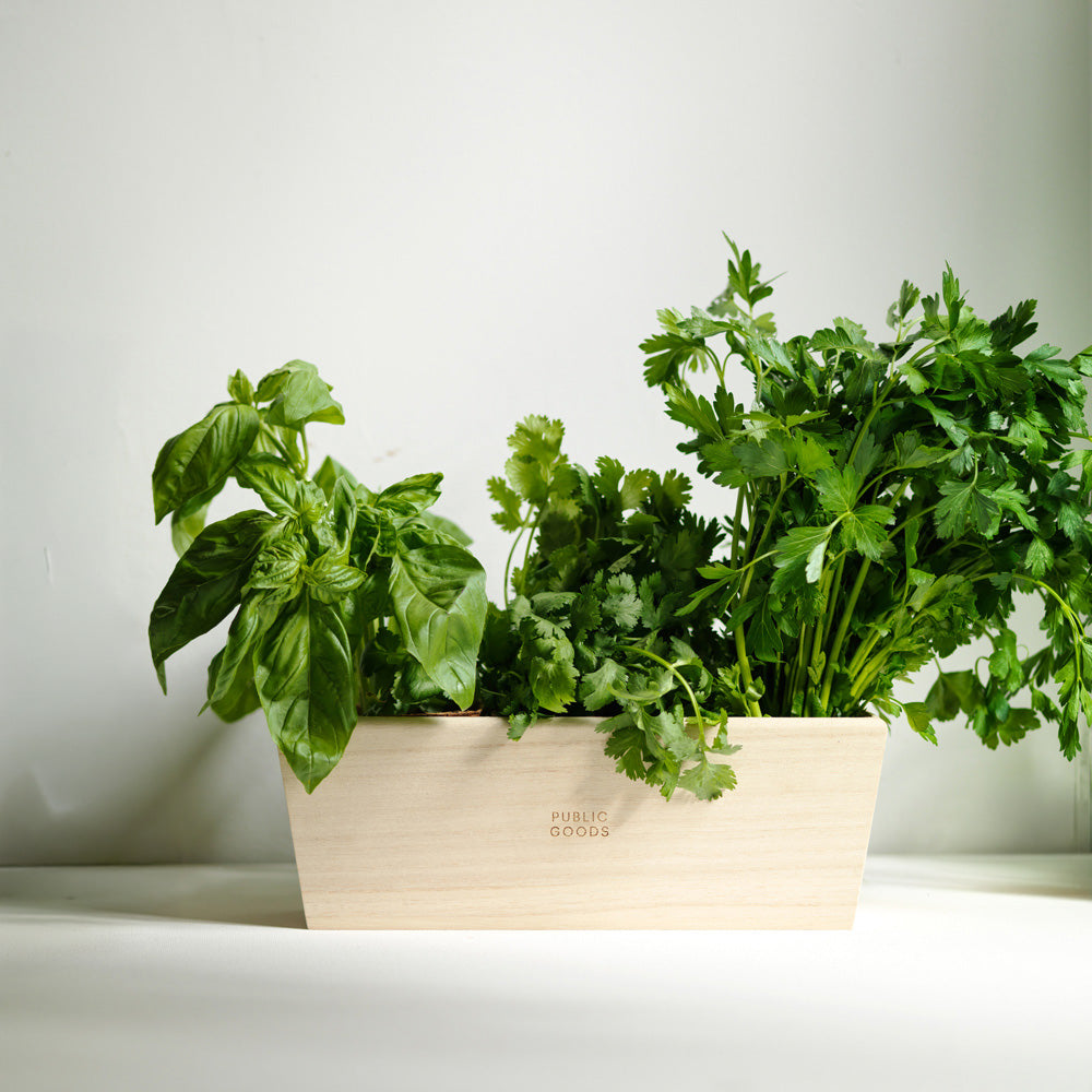 Wooden Herb Planter